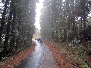 e0110940_21313852.jpg