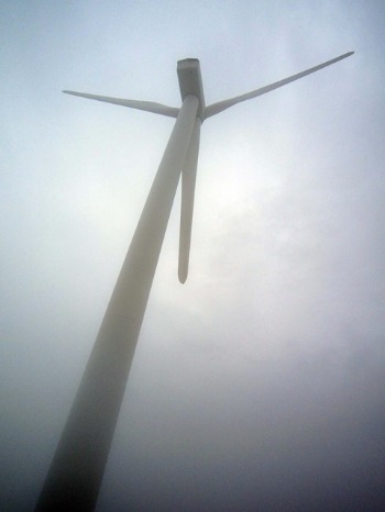 e0110940_2133828.jpg
