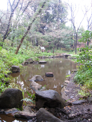 雑司ヶ谷・鬼子母神の手創り市で買った物～2012.3～_a0187356_1526690.jpg