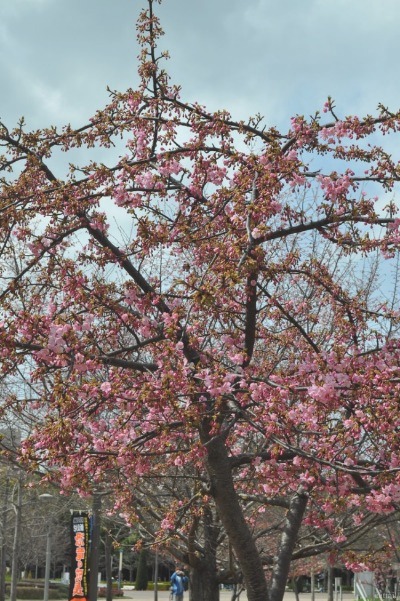 e0125762_1318611.jpg