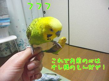 f0196665_22214919.jpg
