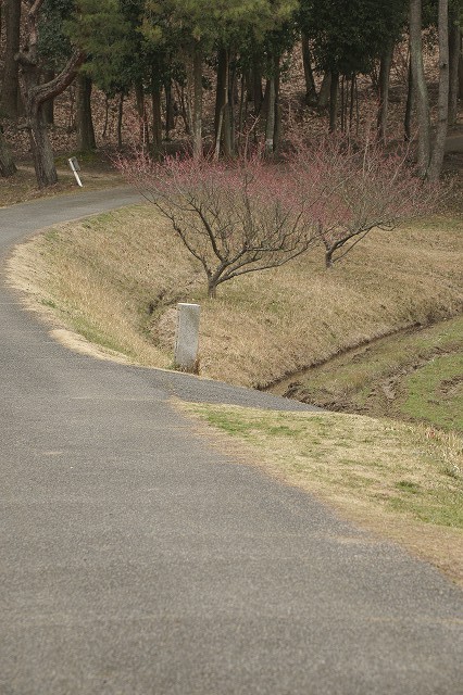 b0198768_2146050.jpg