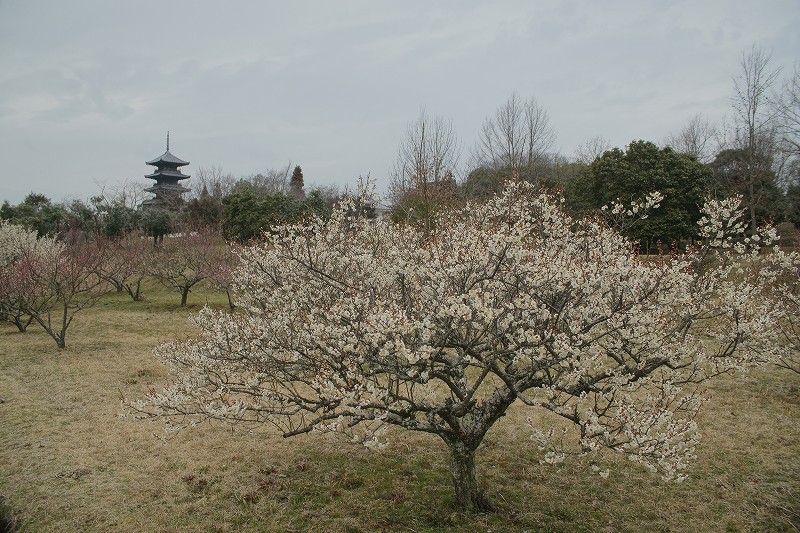 b0198768_21495792.jpg