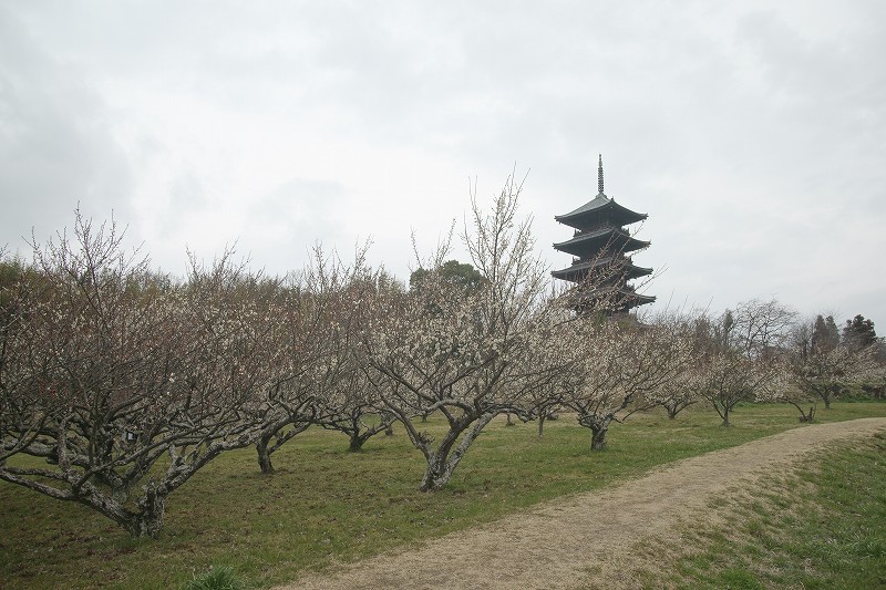 b0198768_2156689.jpg