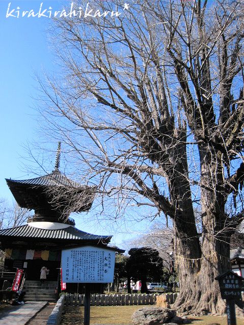 e0173670_88238.jpg