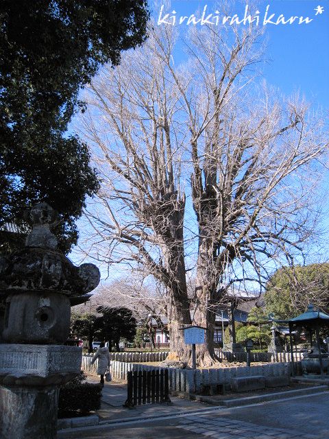 e0173670_88475.jpg