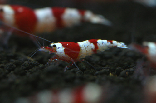 f0224970_20435384.jpg