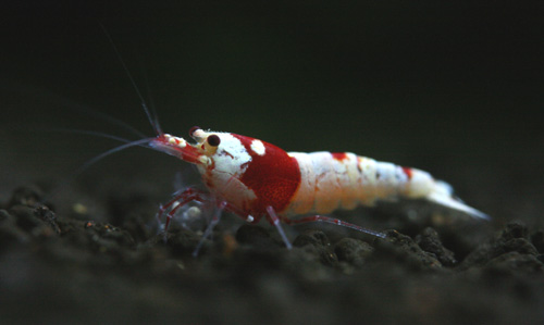 f0224970_20441819.jpg