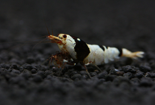 f0224970_20444984.jpg