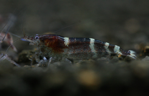 f0224970_20482421.jpg