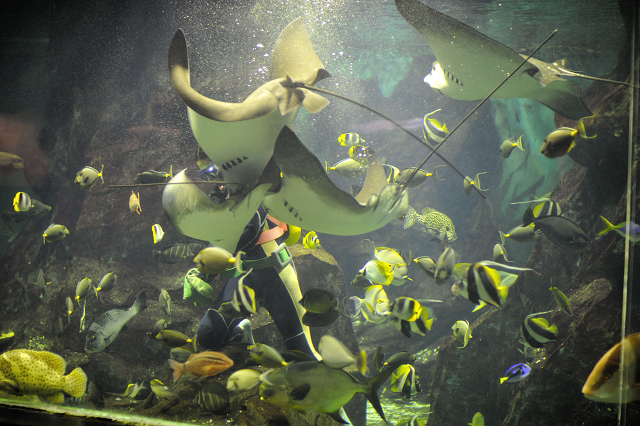 上越市立水族博物館にて①_c0197772_5575894.jpg