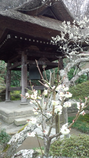 シナリオ_a0219480_1805852.jpg
