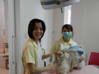 2012年3月19日 箱根_b0098584_17205469.jpg