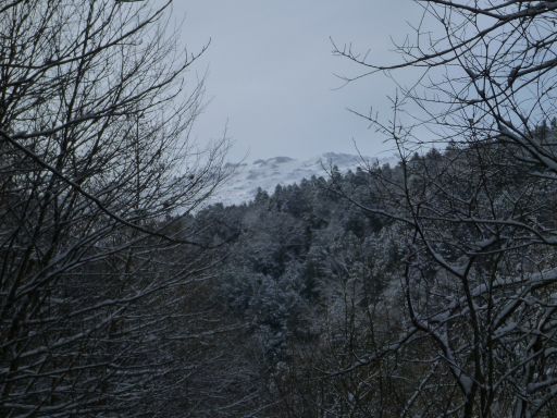 門馬から冬の早池峰山へ（敗退）_e0264385_141767.jpg