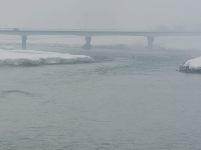 魚野本流解禁 雪代岩魚！ 小出地区偏 : ～BQイッチー フィールド