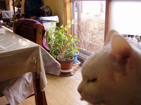 c0206596_22154077.jpg