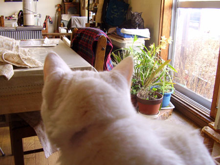 c0206596_222253100.jpg