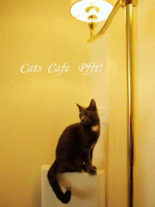 c0173697_11153058.gif