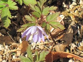 c0117898_21131719.jpg