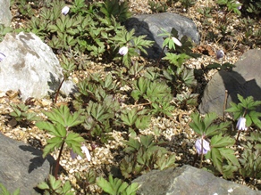 c0117898_2113455.jpg