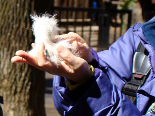 上野動物園2_a0047200_1034997.jpg
