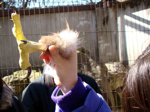 上野動物園2_a0047200_1035270.jpg
