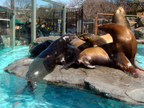 上野動物園2_a0047200_1041015.jpg