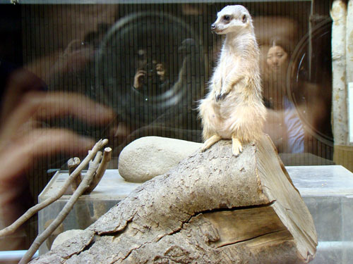 上野動物園2_a0047200_1041749.jpg
