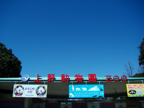 上野動物園1、パンダちゃん_a0047200_9302851.jpg