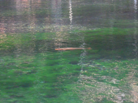 c0148401_17403779.jpg