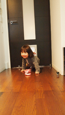 c0222805_0382221.gif