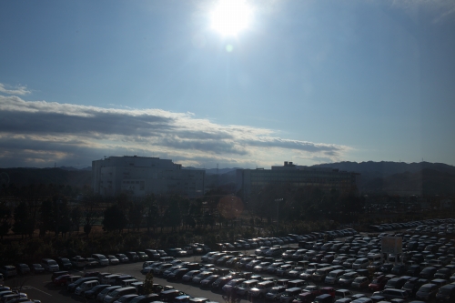 c0211309_1565882.jpg