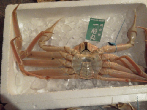 c0210517_21374.jpg