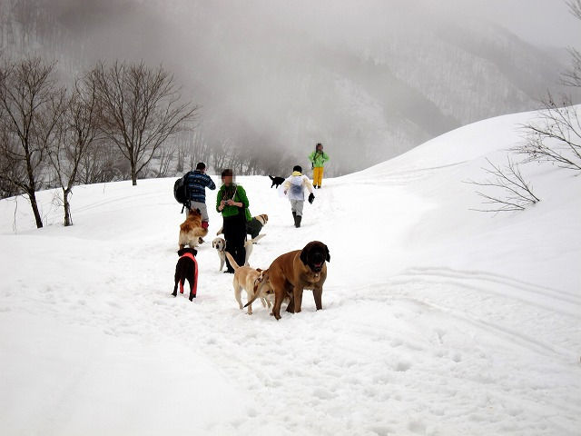 白馬旅行 winter 2012 第1章_e0192217_11422050.jpg