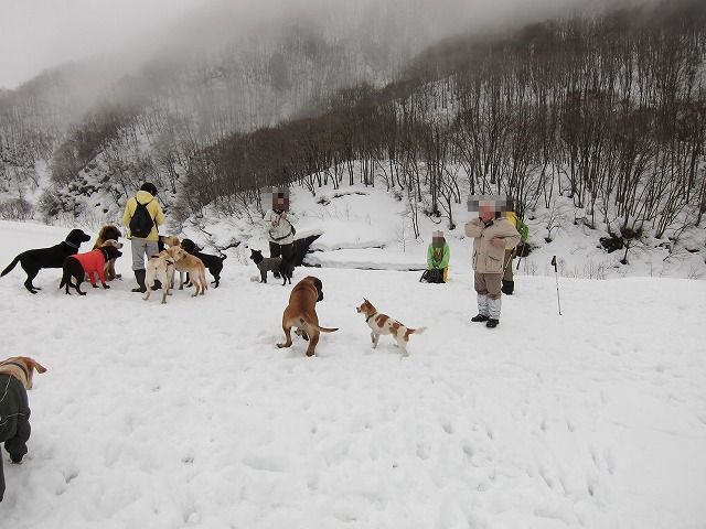 白馬旅行 winter 2012 第1章_e0192217_11563821.jpg