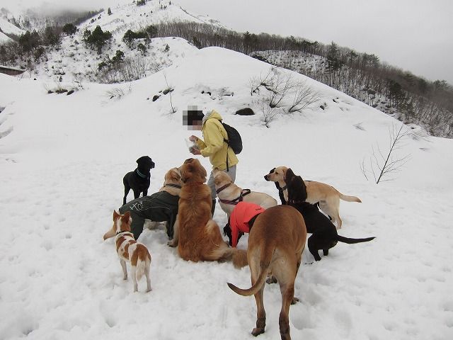 白馬旅行 winter 2012 第1章_e0192217_1159082.jpg