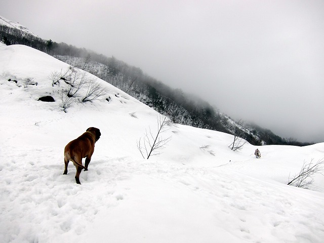 白馬旅行 winter 2012 第1章_e0192217_12393710.jpg