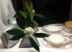 a0098418_2337219.jpg