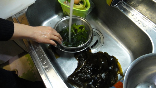 わかめ鎌_a0122123_12165612.jpg
