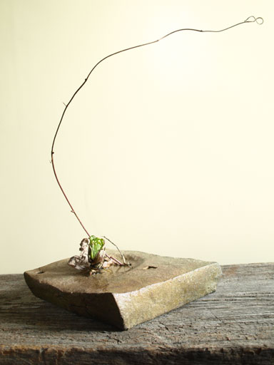 20120227.jpg