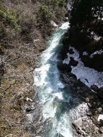坂内川へ_c0113733_2318454.jpg