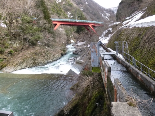 坂内川へ_c0113733_23284227.jpg