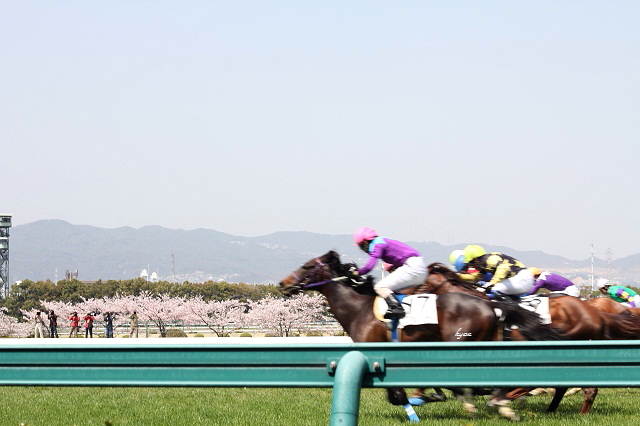 c0244037_020147.jpg