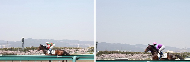 c0244037_051654.jpg