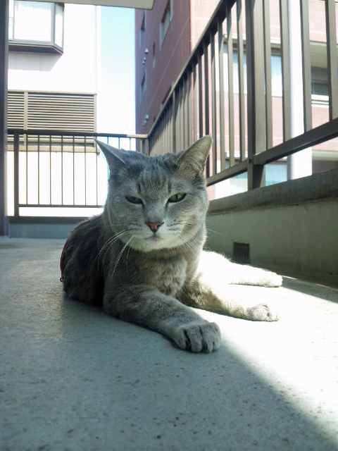 a0117440_21398.jpg
