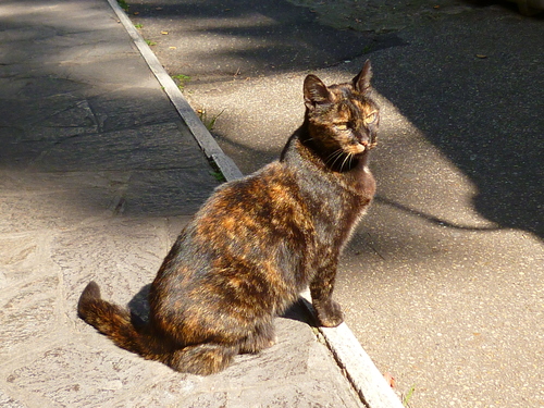 d0170140_452276.jpg