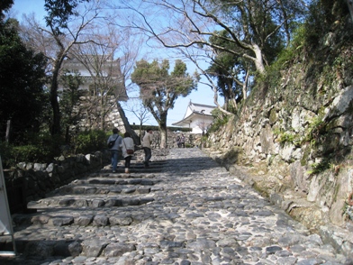 f0202151_203728100.jpg