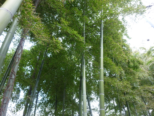 d0237053_22332154.jpg