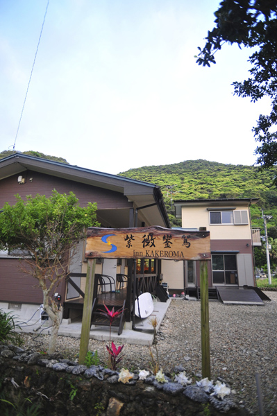 b0062363_95572.jpg