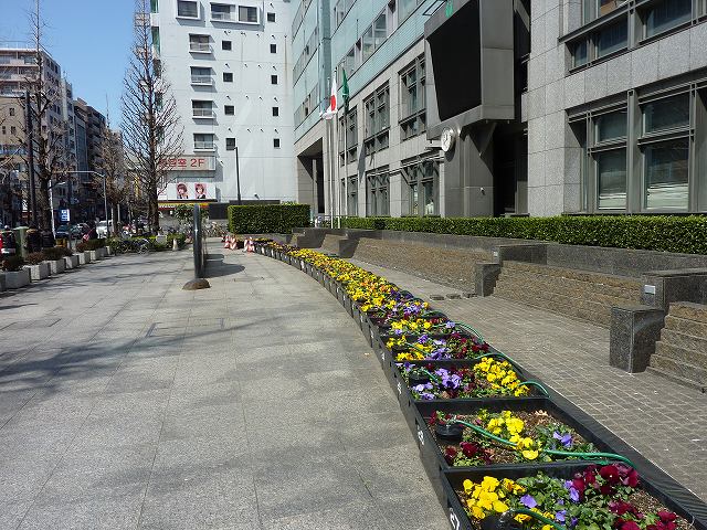 春の予感_a0189764_81109.jpg